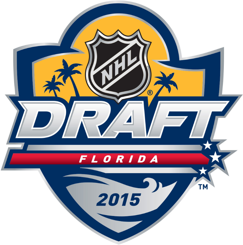 NHL Draft 2015 Primary Logo iron on transfers for clothing